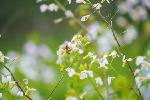pepperoni pizza crispy thin crust